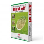 Blast Off -Tricyclozole 75%WP fungicide