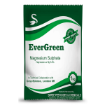EverGreen (Magnesium Sulphate)
