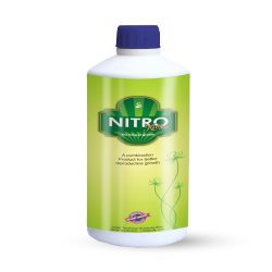 Nitroking (Flowering Agent ) for all Crops