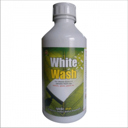 WHITE WASH