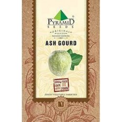 P-S Ash Gourd Seeds