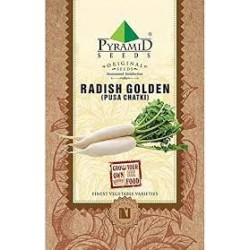 P-S	Radish Golden Seeds (Pusa Chatki)