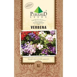 P-S	Verbena Flower Seeds