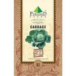 P-S	Red Cabbage Seeds