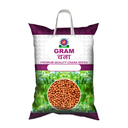 Bengal Gram (Chana) - Seeds VIJAY