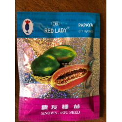 RED LADY PAPAYA