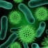 Liv Bacteria Series (11)