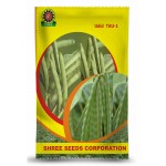 Shree Udid Seeds ( Black Gram ) - TAU 1