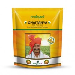 Cotton Seed Chaitanya Mahyco (MRC-7377 BG-2)