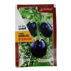 Ankur Hybrid brinjal-Utkarsha (10g) Vegetable Seeds