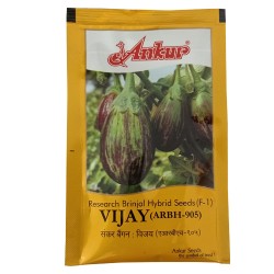 Ankur Hybrid Brinjal Vijay ARBH-905 - 10 Gram