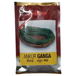 Ankur Lobia Seeds Ganga 250 Gram