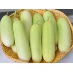 Ankur Hybrid Cucumber-A7 Vegetable Seeds- 25 GRM