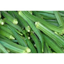 Ankur Hybrid – No.221 Okra (Bhendi ) Vegetable Seeds- 100 GRM