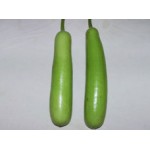 Ankur Hybrid Bottle gourd- Amit (50g) Vegetable Seeds