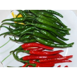 Ankur Hybrid chilly  ARCH – 2239  (10g) vegetable Seeds