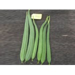 Ankur Hybrid ridge gourd-Latika (50g) vegetable seeds