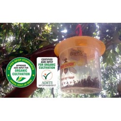 Barrix Catch Fruit Fly Trap with Lure