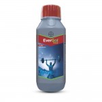 Bayer EverGol Xtend Penflufen 13.28 + Trifloxystrobin 13.28 FS Bayer EverGol Xtend Penflufen 13.28 + Trifloxystrobin 13.28 FS