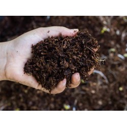 Advantages Of Organic Fertilizer - Grow Your Plants Organically