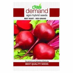 DAS agro seeds ( Beet root F1 - red grand )