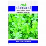 DAS hybrid seeds ( Coriander Imported )