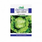 DAS agro seeds ( Lettuce Iceberg ) 300 Seeds