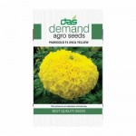 DAS agro seeds ( Marigold F1 INCA yellow ) 20 Seeds