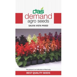 DAS agro seeds ( salvia vista mix ) 30 Seeds