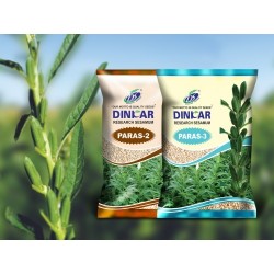 Dinkar Sesame(Til) Vegetable Seeds Paras-2 -500 GRM