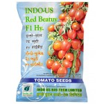 Indo-Us-Red Beauty F1 Hy Tomato