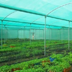 Agro Shed Nets | Green Nets (3)