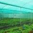 Agro Shed Nets | Green Nets (3)
