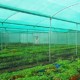 Agro Shed Nets | Green Nets