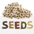 Other Seeds (1)