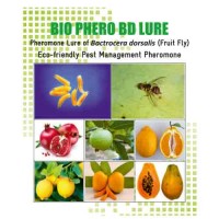 Buy Sonkul Agro Combo Pack Of Bio Phero BD - Bacterocera dorsalis (Fruit  Fly - Fruit Crops) Lures & Mac Fill Trap Sets Traps & Lures online -  Badikheti