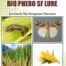 Lure For Fall Armyworm (Spodoptera frugiperda)-SF Pack of 10