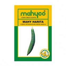 Mahyco SPONGEGOURD MSGH 6-HARITA (50g) Vegetable Seeds