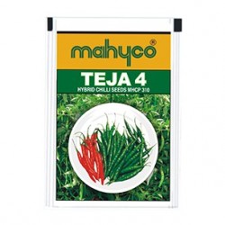 Mahyco chilly MHCP 310 – TEJA (10g) Vegetable Seeds