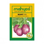Mahyco MAHY 11 (MEBH 11) (10g) Brinjal vegetable Seeds 