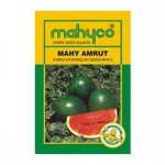 Mahyco MHW 5 (AMRUT) (50g) Water Melon Seeds