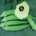 Bhindi (Okra) F1 Hybrid Vegetable Seeds