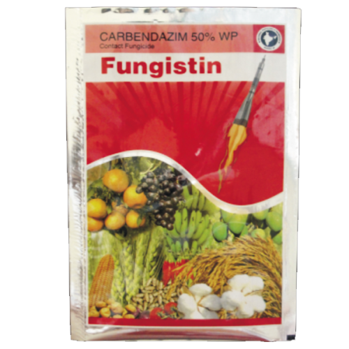 Fungistin -Carbandazim50%WP Fungicide