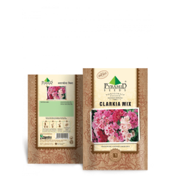 P-S Clarkia Mix Flower Seeds