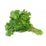 Sardar Coriander(Dhaniya) Vegetable Seeds 251 -1 KG