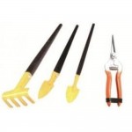 UNISON Bonsai Set with Pruner