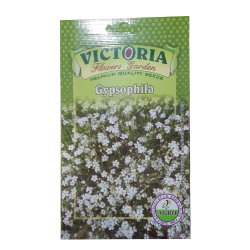 Victoria Gypsophila Flower Seed