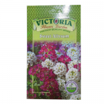 Victoria Sweet Allysum Flower Seed