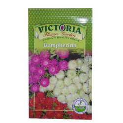 Victoria Gomphrena Flower Seed