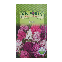 Victoria Phlox Flower Seed